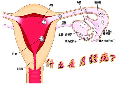 月經不調如何治療